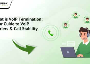 What is VoIP Termination