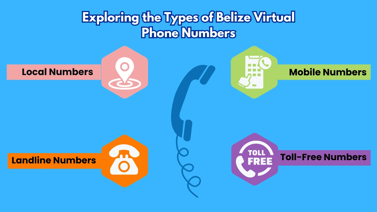 Exploring the Types of Belize Virtual Phone Numbers