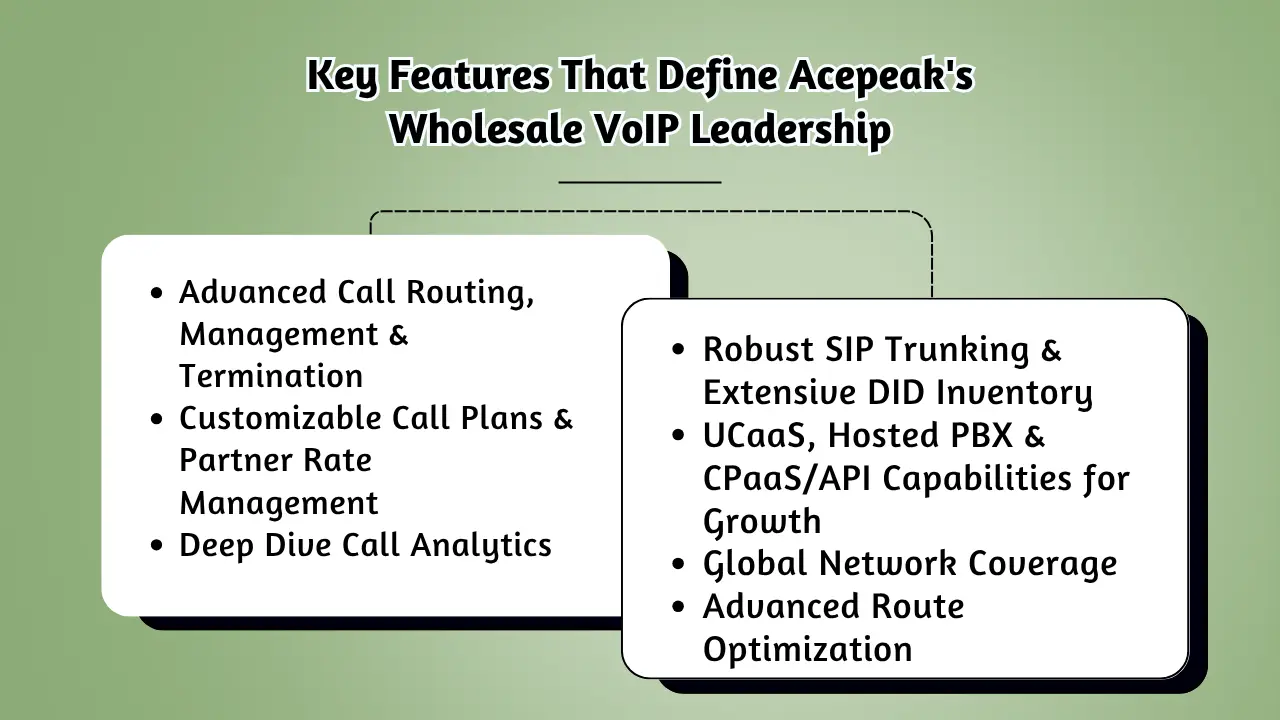 Key Features That Define Acepeak's Wholesale VoIP Leadership