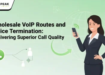 Wholesale VoIP