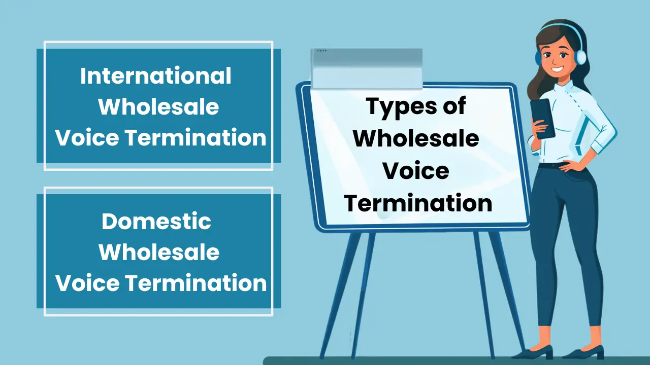 Types of Wholesale Voice Termination