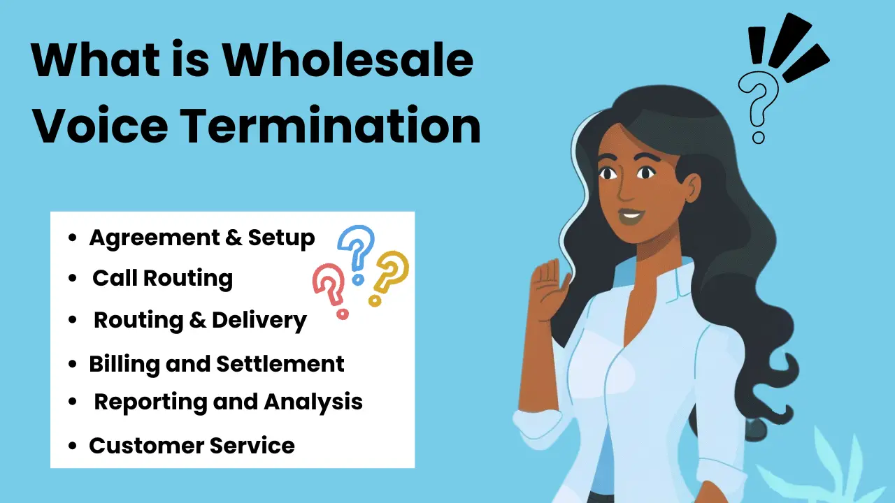 What is Wholesale Voice Termination