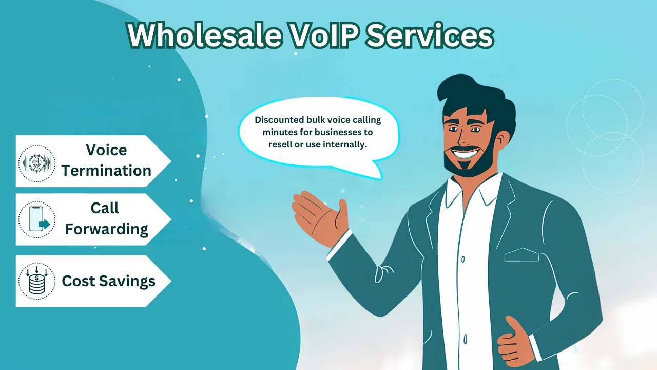 wholesale voip servies