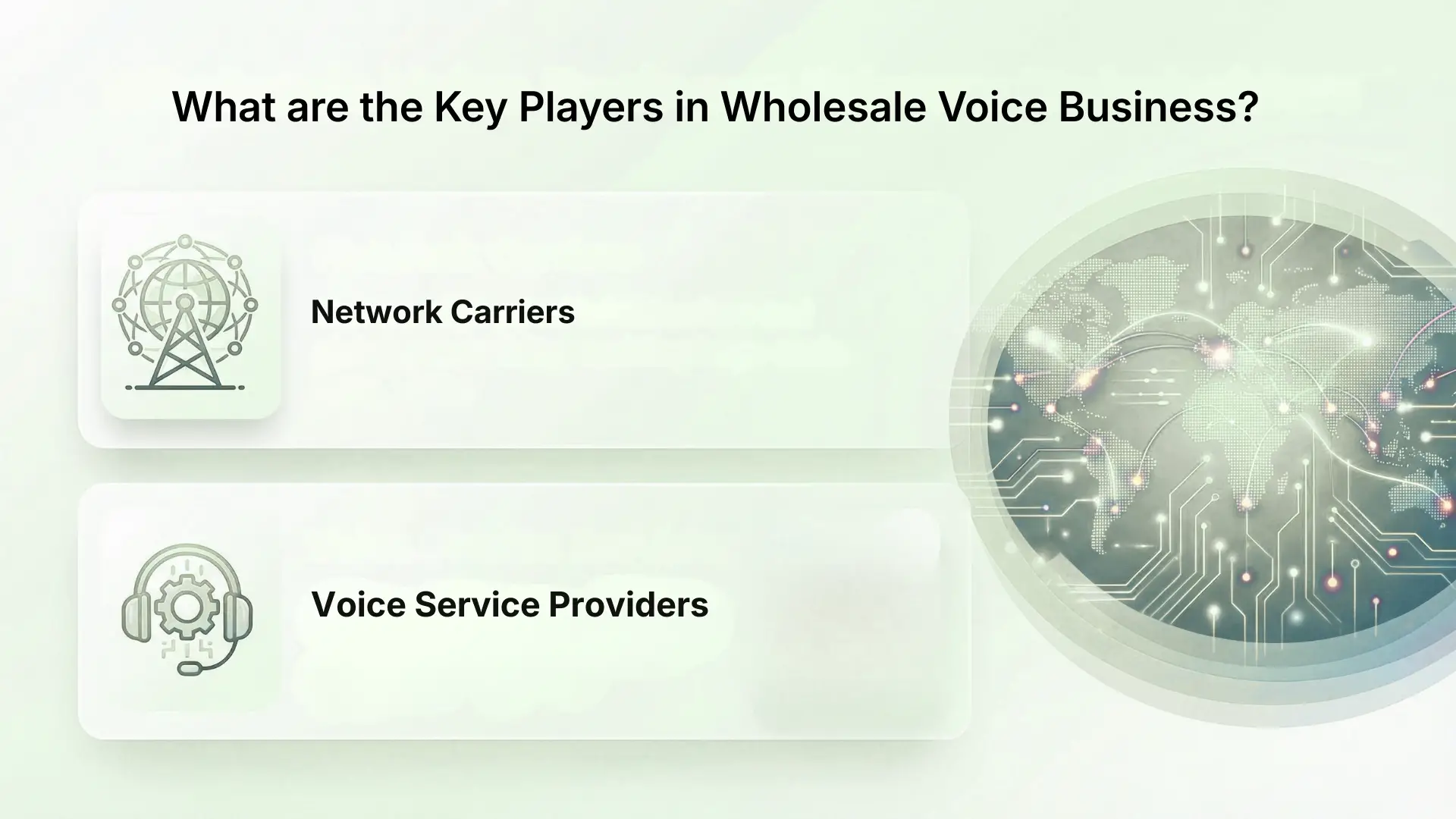 What are the Key Players in Wholesale Voice Business?