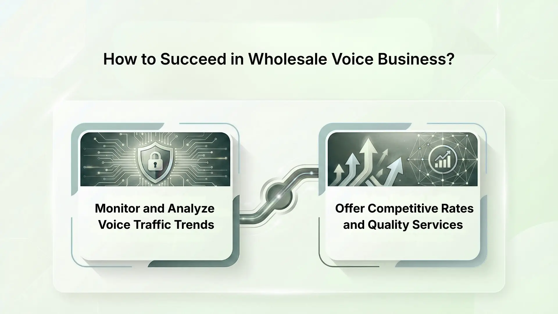 How to Succeed in Wholesale Voice Business?